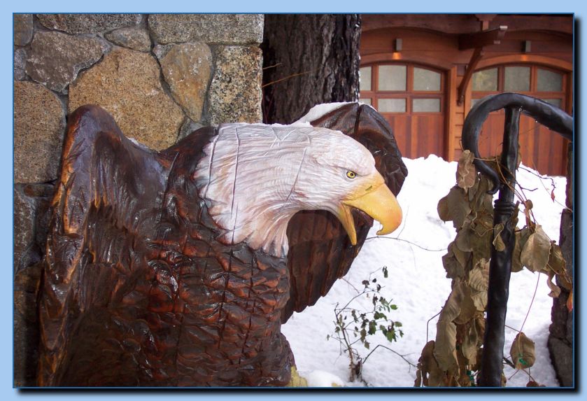 2-12 eagle  perched, half-spread wings-archive-0004